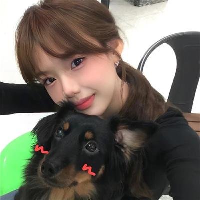 雪地灵犬2